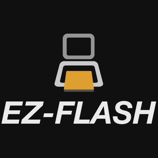 EZ Flash Omega Definitive Edition DE